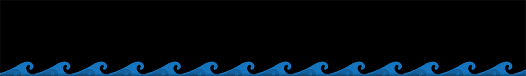 WavesCaravan_Website_Holdpage_Blank